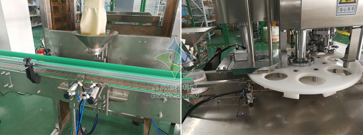 自動(dòng)化雜糧顆粒罐裝包裝生產(chǎn)線